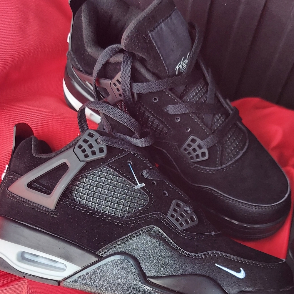 Nike Jordan 4 Collab W Sylvester